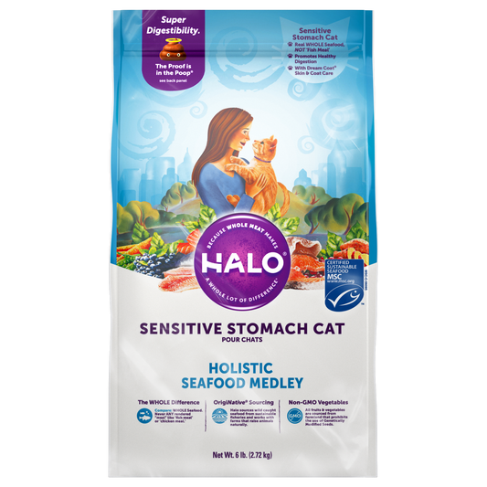 Is Your Cat's Sensitive Stomach Stealing Their Joy? Meet Halo USA Imported Pet Food’s Holistic Fix