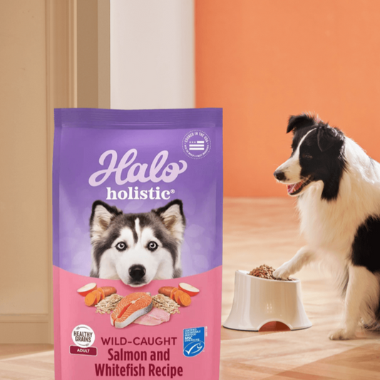 Is puppy food good? How much is each serving of puppy food?