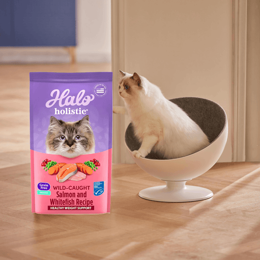 Halo Holistic Pet Food: Digestive Health for Pets | Penyclub