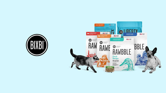 Bixbi Hong Kong Pet Food: Smart Nutrition Guide