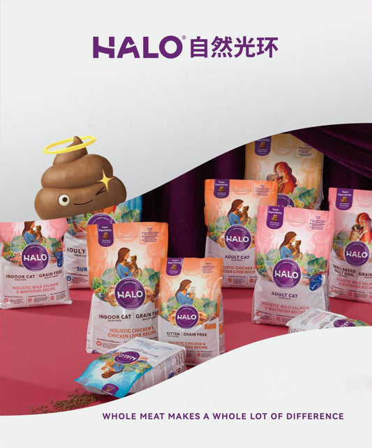 Best Halo Pet Cat Food In HK: A Guide To Premium Nutrition For Your Feline Friend