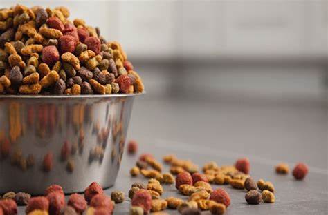Halo Pet Food Hong Kong | Highly Digestible Whole Meat Dog Food & Premium Delivery
