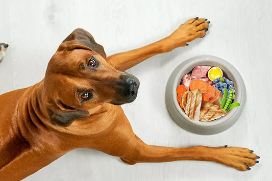 Responsibly Sourced Whole Meat: Myth vs. Fact