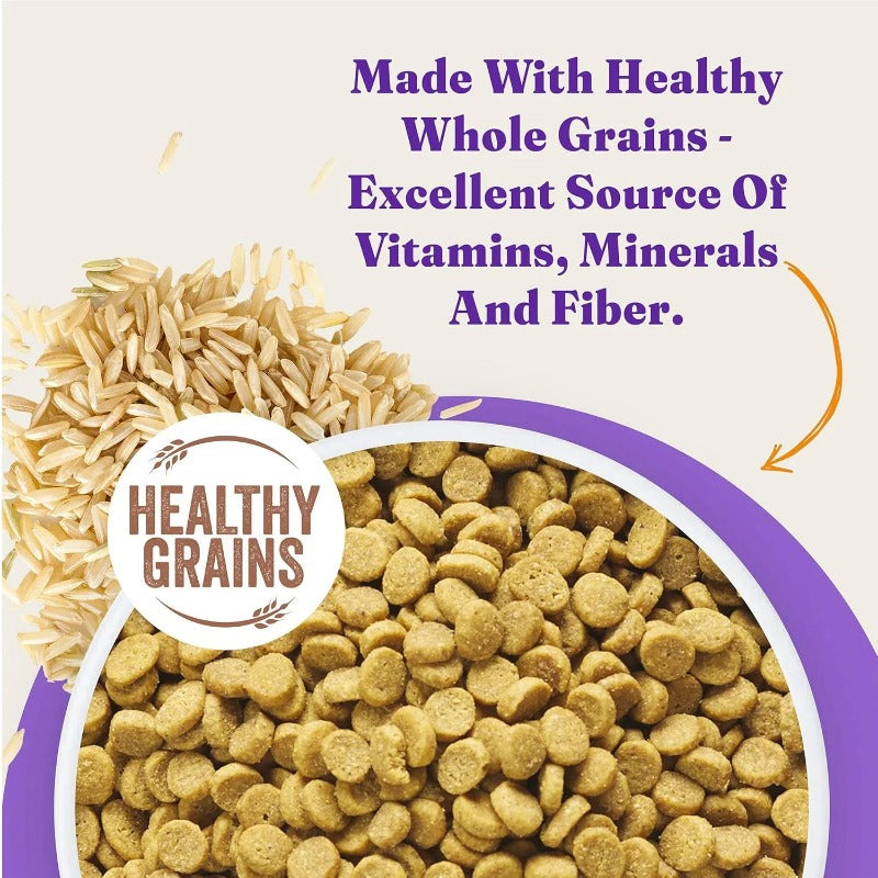 Halo Holistic Healthy Grains Adult Cat Dry Food Penyclub