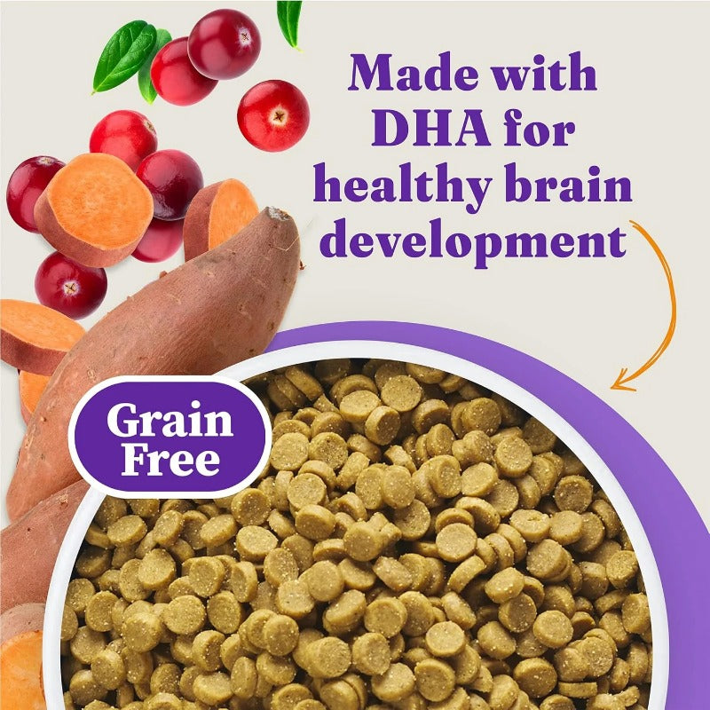 Halo Holistic Grain Free Digestive Health Kitten Dry Cat Food HALO