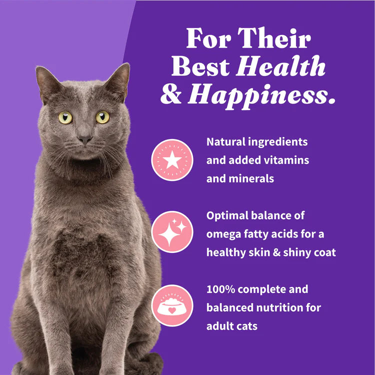 Halo Holistic Adult Cat Dry Food Wild-Caught Salmon & Whitefish Recipe