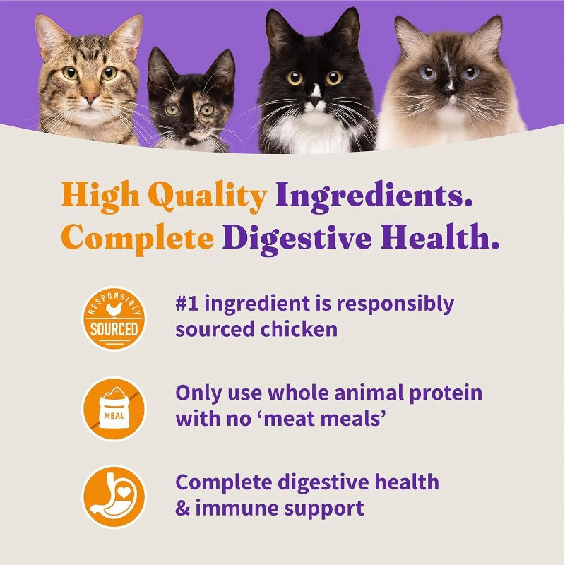 Halo Holistic Healthy Grains Adult Cat Dry Food Penyclub