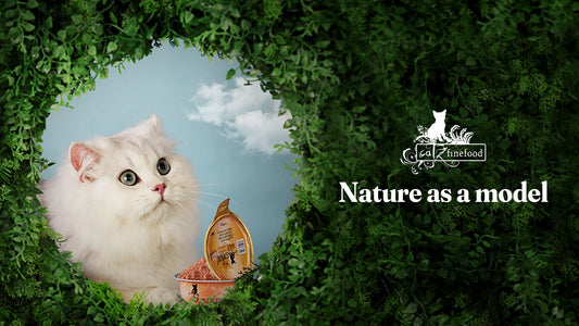 Hong Kong & Macau Pet Food Guide & Reviews