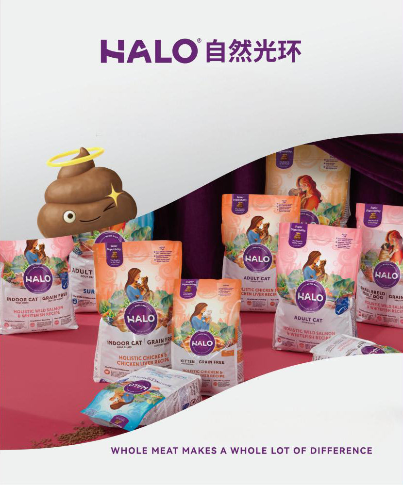 Best Halo Pet Cat Food In HK: A Guide To Premium Nutrition For Your Feline Friend