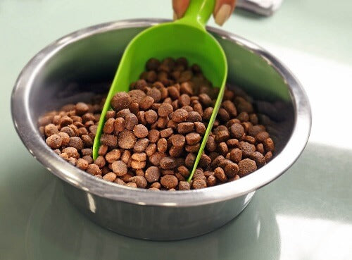 Additive-Free Natural Pet Food | Halo Hong Kong