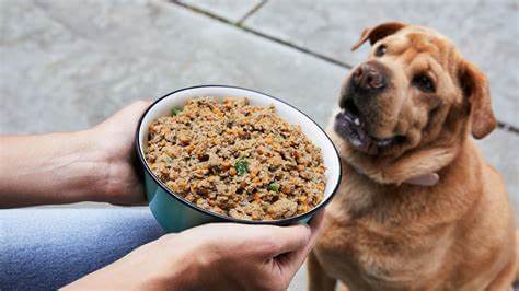 Halo宜豆寶寶食品：改善便便体貼 降低腸肠負擔