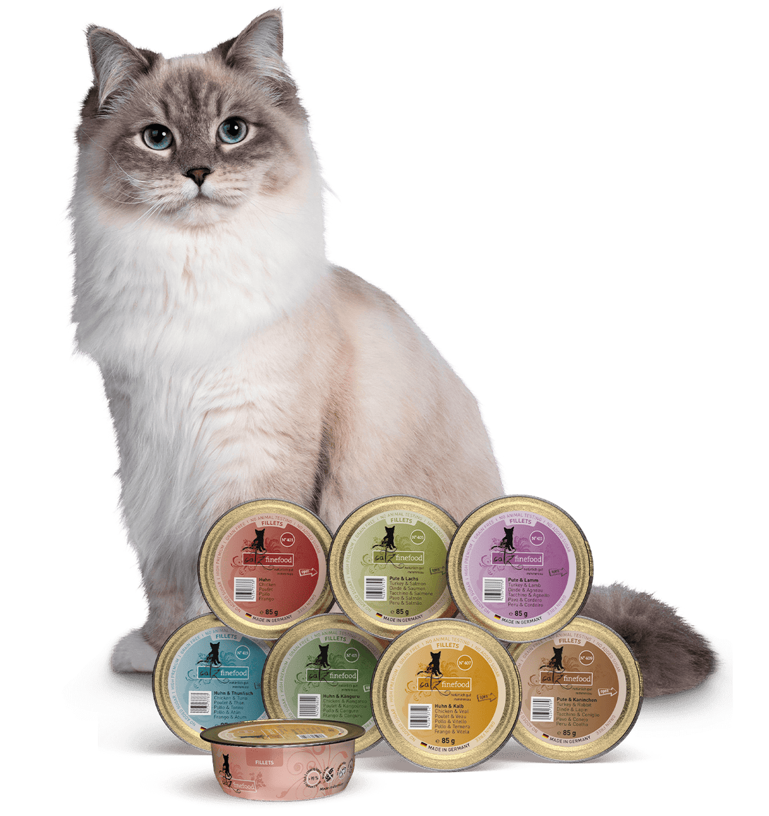 Catz Fine Food Germany Pet Cat Food In HK: The Best Choice For Your Feline Friend