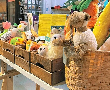 The Ultimate One-Stop Pet Supplies Store In Hong Kong – Everything Your Pet Needs In One Place