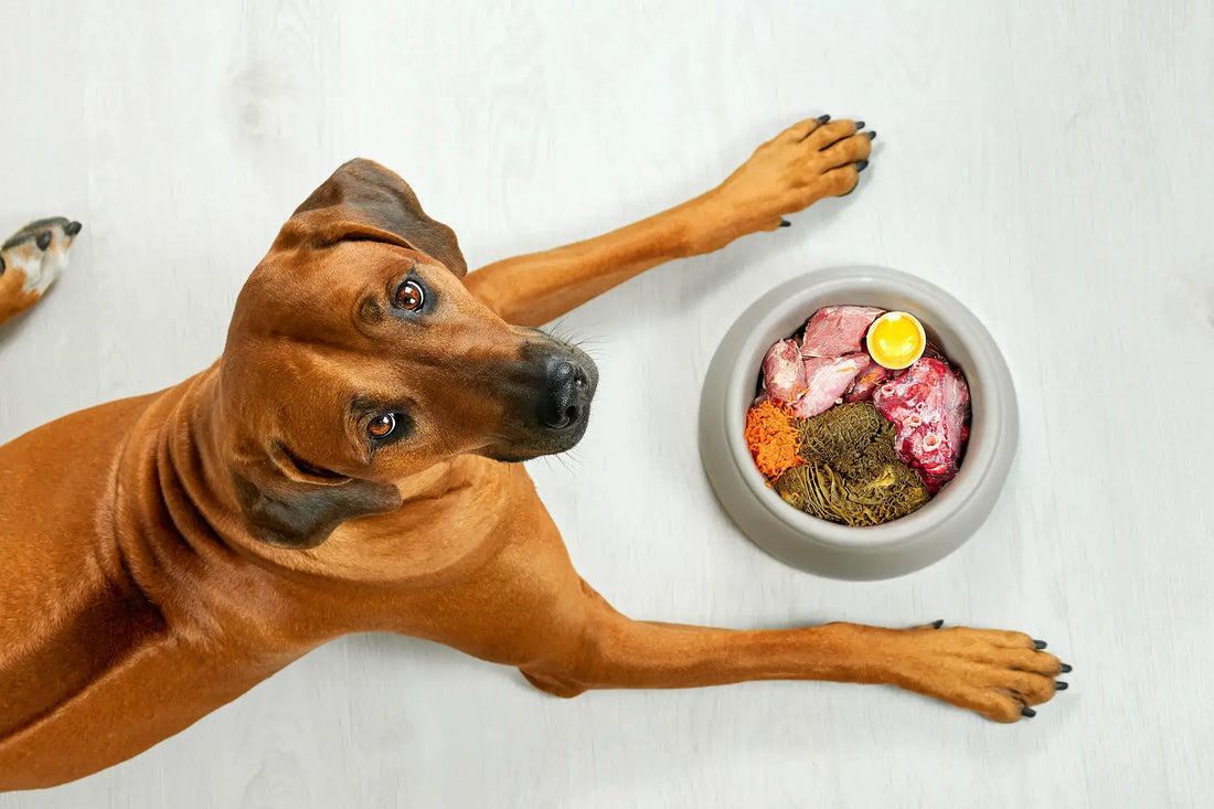 The Ultimate Guide To Pet Food: Choosing The Best Nutrition For Your Furry Friend