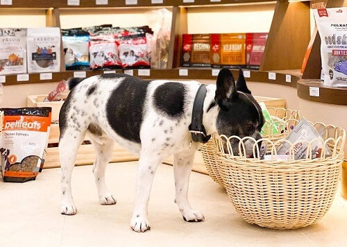 The Best One-Stop Pet Supplies In Hong Kong: Where Convenience Meets Quality