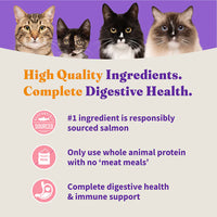 Halo Holistic Adult Cat Dry Food Wild-Caught Salmon & Whitefish Recipe