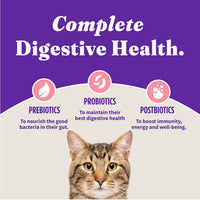 Halo Holistic Adult Cat Dry Food Wild-Caught Salmon & Whitefish Recipe