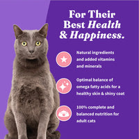 Halo Holistic Adult Cat Dry Food Wild-Caught Salmon & Whitefish Recipe